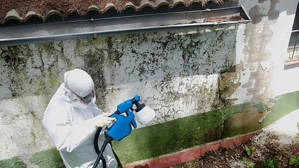 Mold Remediation service in Dayton, Dayton, NJ